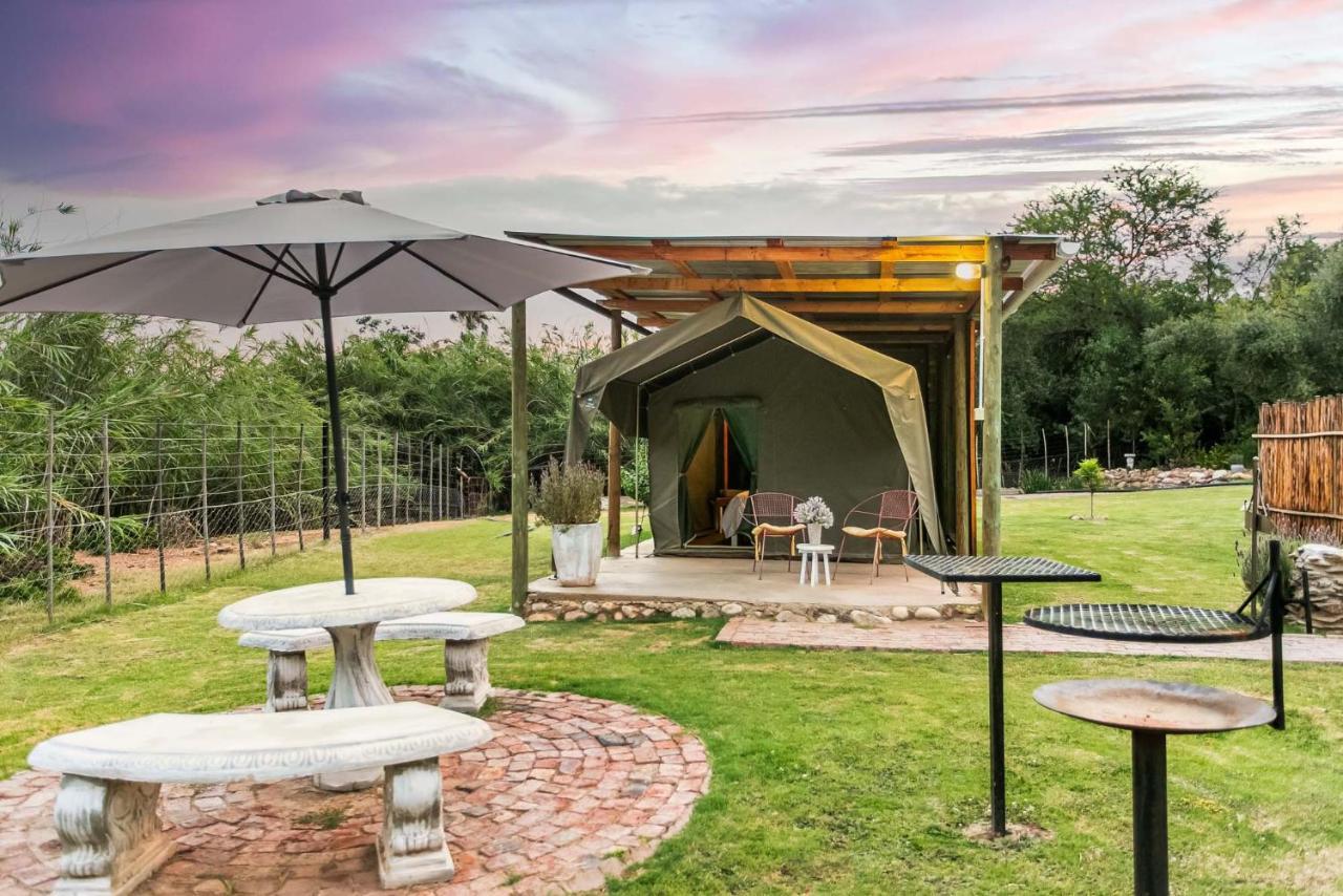 Schoemanshoek Glamping Oudtshoorn Extérieur photo