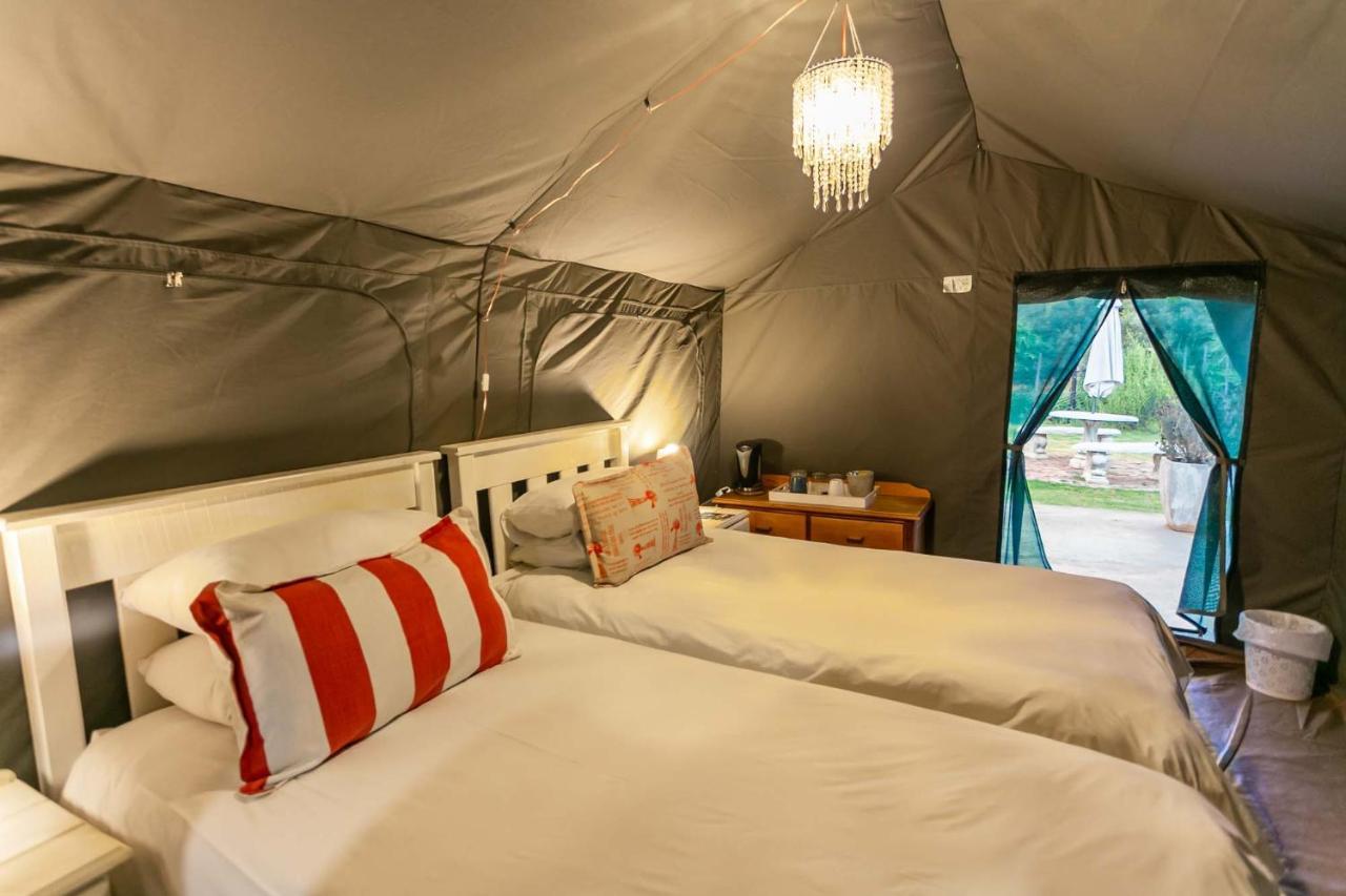 Schoemanshoek Glamping Oudtshoorn Extérieur photo