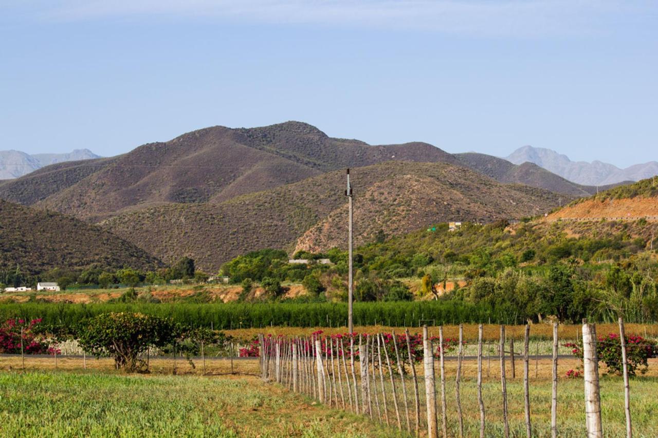 Schoemanshoek Glamping Oudtshoorn Extérieur photo
