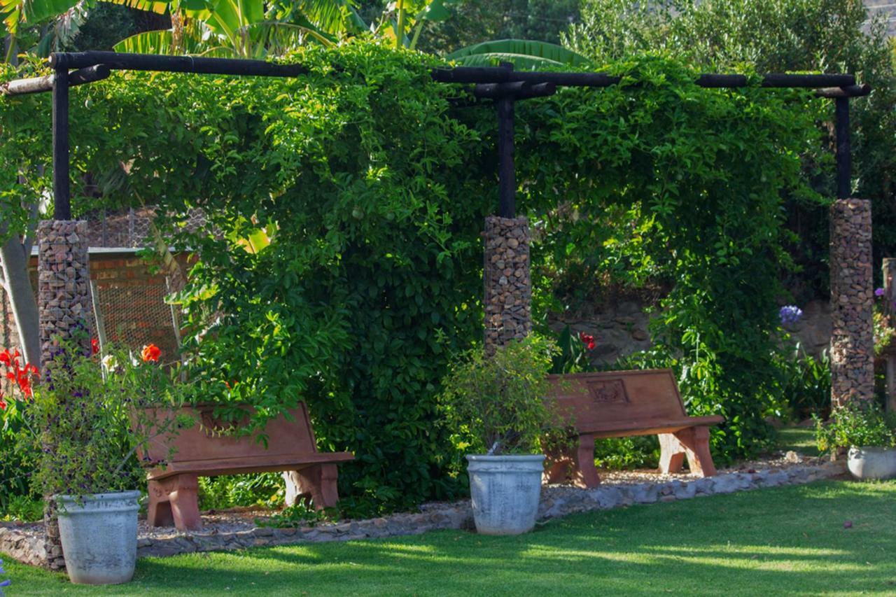 Schoemanshoek Glamping Oudtshoorn Extérieur photo